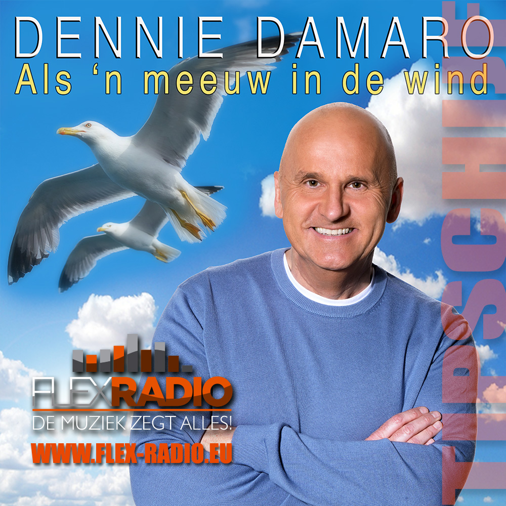 Tipschijf Dennie Damaro - Als een meeuw in de wind